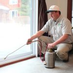 Safe Pest Control: Maintaining Indoor Air Quality