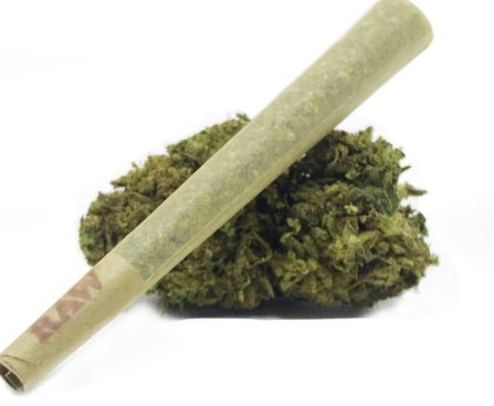 Pre-Roll Joints Demystified What You Need to Know