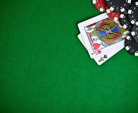 Exclusive rewards program wolf io casino you should explore today