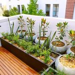 Embracing the Art of Pruning