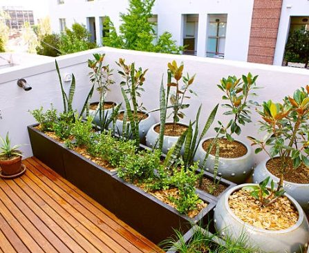 Embracing the Art of Pruning